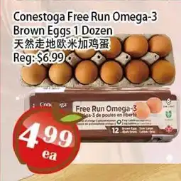 Food Depot Supermarket Conestoga Free Run Omega-3 Brown Eggs 1 Dozen offer