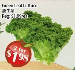 Food Depot Supermarket Green Leaf Lettuce offer