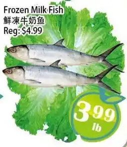 Food Depot Supermarket Frozen Milk Fish offer