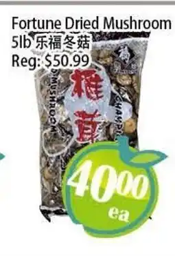 Food Depot Supermarket Fortune Dried Mushroom offer