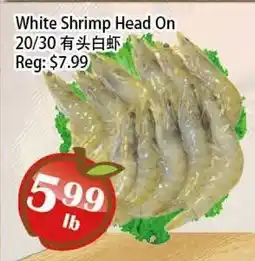 Food Depot Supermarket White Shrimp Head On 20/30 offer