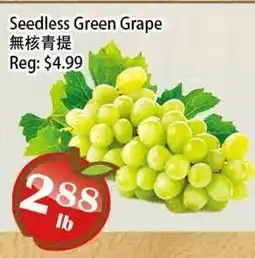 Food Depot Supermarket Seedless Green Grape offer