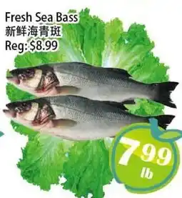 Food Depot Supermarket Fresh Sea Bass offer