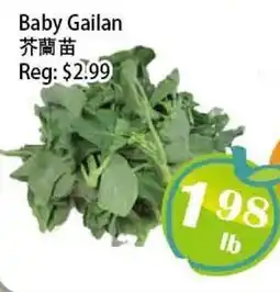 Food Depot Supermarket Baby Gailan offer