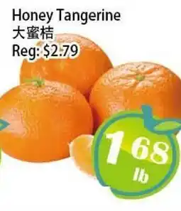 Food Depot Supermarket Honey Tangerine offer