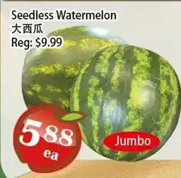 Food Depot Supermarket Seedless Watermelon offer