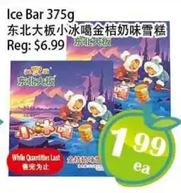 Food Depot Supermarket Ice Bar offer