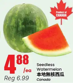 Terra Foodmart Seedless Watermelon offer