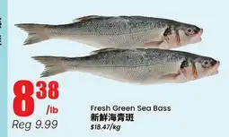 Terra Foodmart Fresh Green Sea Bass offer