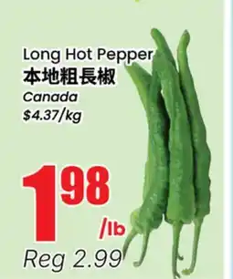 Terra Foodmart Long Hot Pepper offer