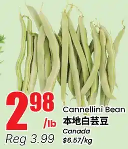 Terra Foodmart Cannellini Bean offer