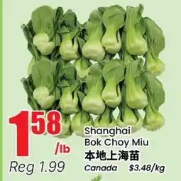 Terra Foodmart Shanghai Bok Choy Miu offer