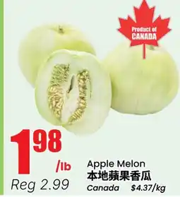 Terra Foodmart Apple Melon offer