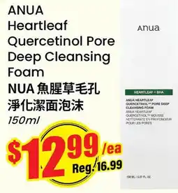 Terra Foodmart ANUA Heartleaf Quercetinol Pore Deep Cleansing Foam offer