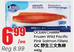 Terra Foodmart OCEAN CHARM Frozen Wild Pacific Pink Salmon Fillets offer
