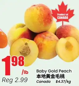 Terra Foodmart Baby Gold Peach offer