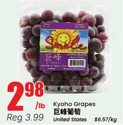 Terra Foodmart Kyoho Grapes offer