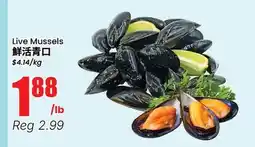 Terra Foodmart Live Mussels offer