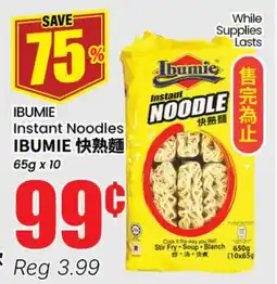 Terra Foodmart IBUMIE Instant Noodles offer