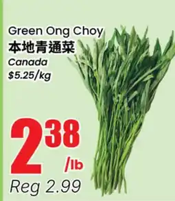 Terra Foodmart Green Ong Choy offer