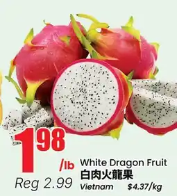 Terra Foodmart White Dragon Fruit offer