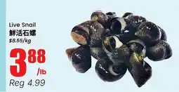 Terra Foodmart Live Snail offer