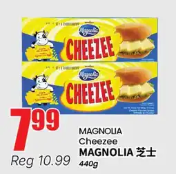 Terra Foodmart MAGNOLIA Cheezee offer