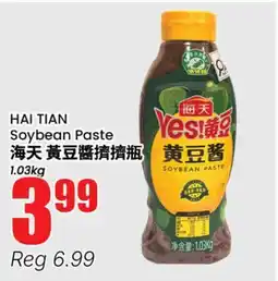Terra Foodmart HAI TIAN Soybean Paste offer