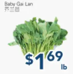 Oceans Fresh Food Market Baby Gai Lan offer