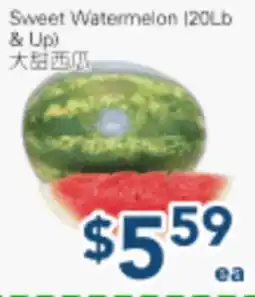 Oceans Fresh Food Market Sweet Watermelon (20Lb & Up) offer