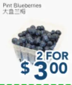 Oceans Fresh Food Market Pint Blueberries offer