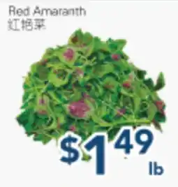 Oceans Fresh Food Market Red Amaranth offer