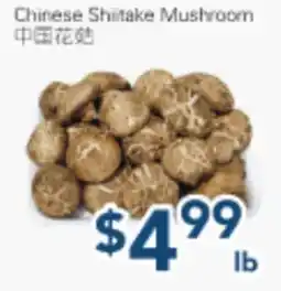 Oceans Fresh Food Market Chinese Shiitake Mushroom offer