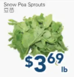 Oceans Fresh Food Market Snow Pea Sprouts offer