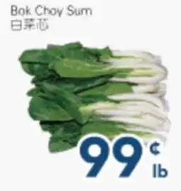 Oceans Fresh Food Market Bok Choy Sum offer