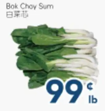 Oceans Fresh Food Market Bok Choy Sum offer