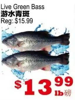 Yuan Ming Supermarket Live Green Bass offer