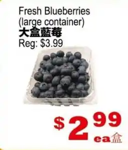 Yuan Ming Supermarket Fresh Blueberries (large container) offer
