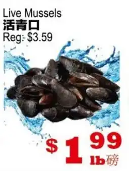 Yuan Ming Supermarket Live Mussels offer