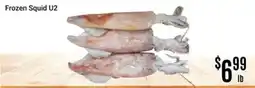 Nations Fresh Foods Frozen Squid U2 offer