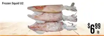 Nations Fresh Foods Frozen Squid U2 offer