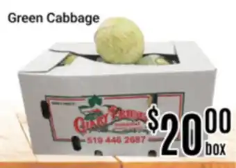 Nations Fresh Foods Green Cabbage offer