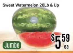 Nations Fresh Foods Sweet Watermelon 20Lb & Up offer