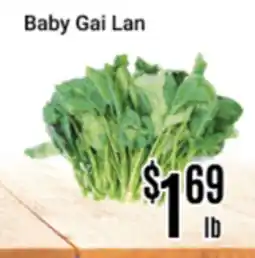 Nations Fresh Foods Baby Gai Lan offer
