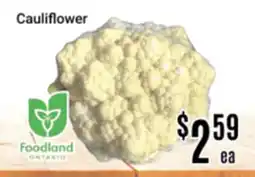 Nations Fresh Foods Cauliflower offer