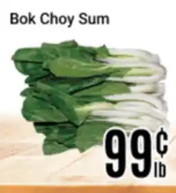 Nations Fresh Foods Bok Choy Sum offer