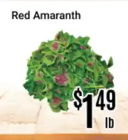 Nations Fresh Foods Red Amaranth offer