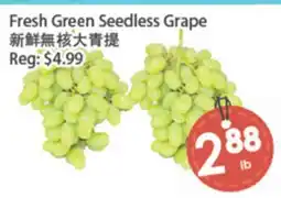 Fresh Palace Supermarket Fresh Green Seedless Grape offer