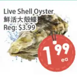 Fresh Palace Supermarket Live Shell Oyster offer