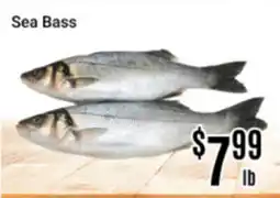 Nations Fresh Foods Sea Bass offer